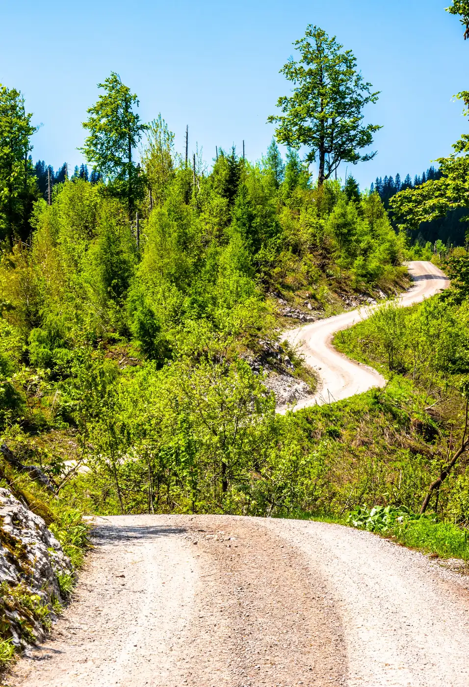 A winding mountain trail climbing through green slopes