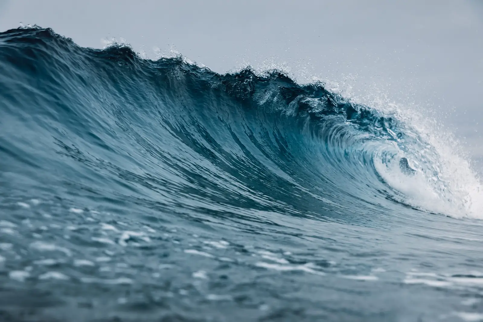 Rolling ocean waves under soft morning light