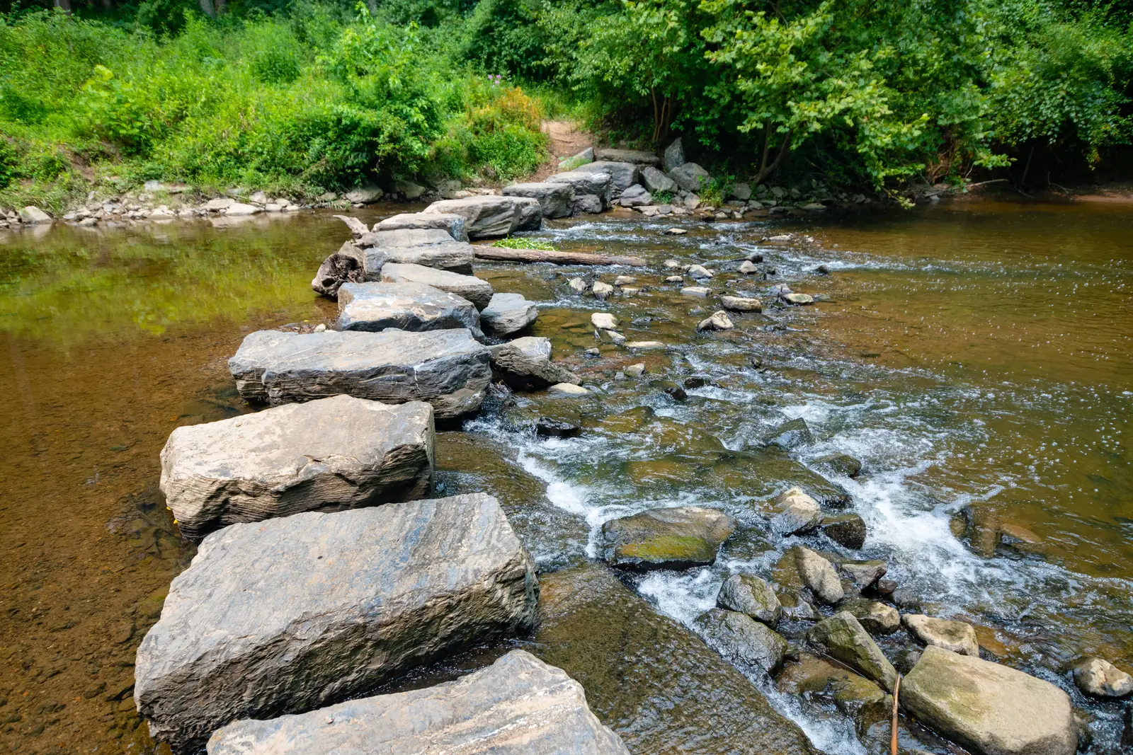 Stepping stones leading across a clear forest stream