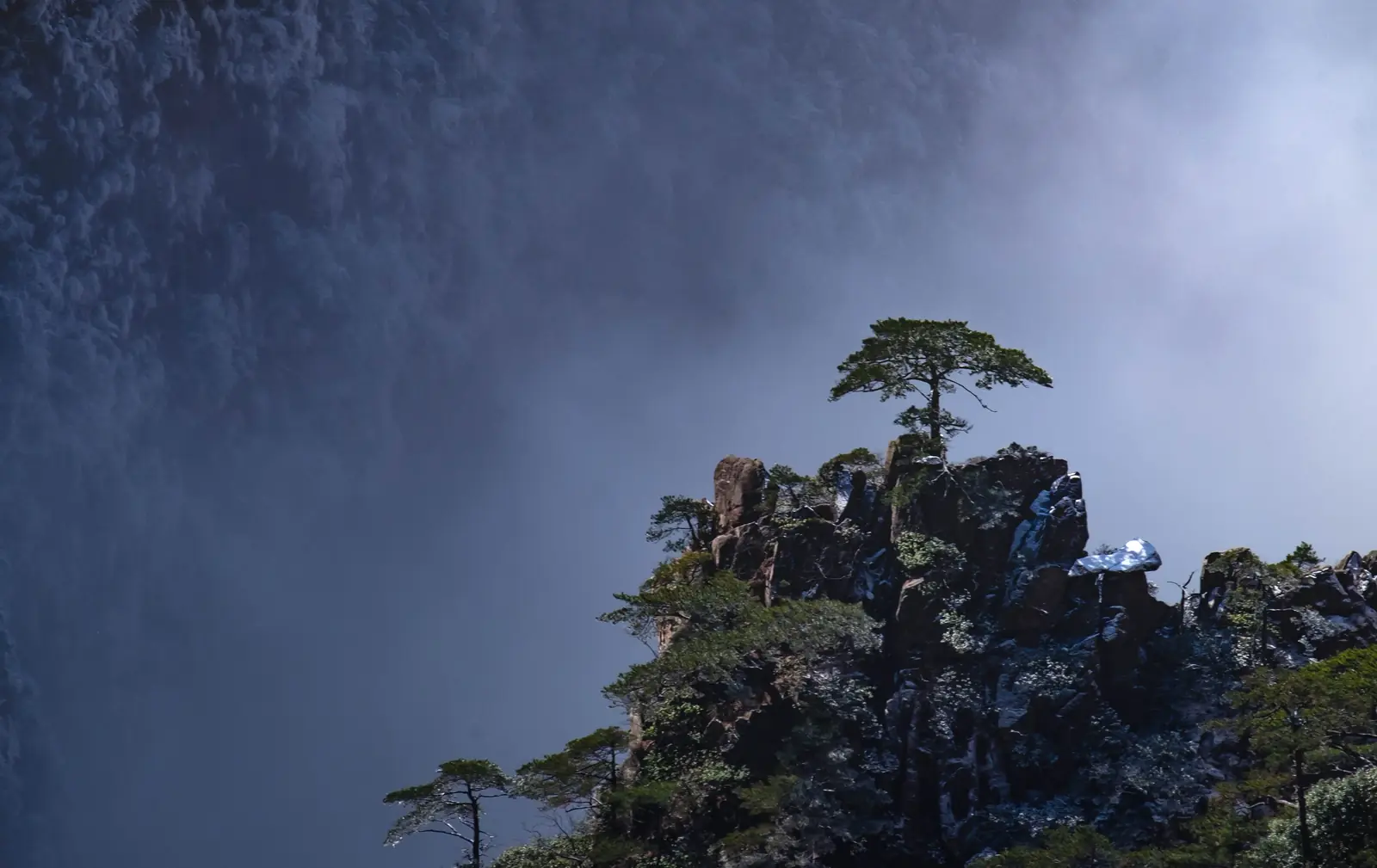 A lone pine tree standing on a rocky cliff edge
