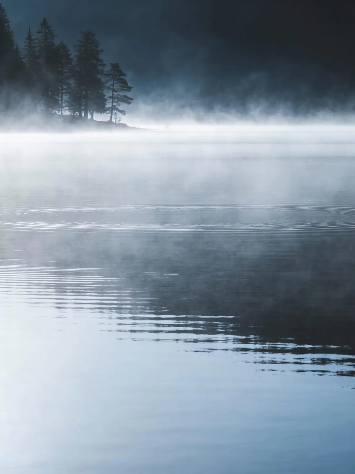 Morning mist rising off a calm lake at dawn