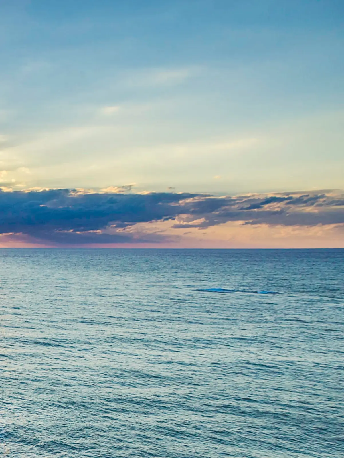 Calm open ocean stretching to the horizon at sunrise